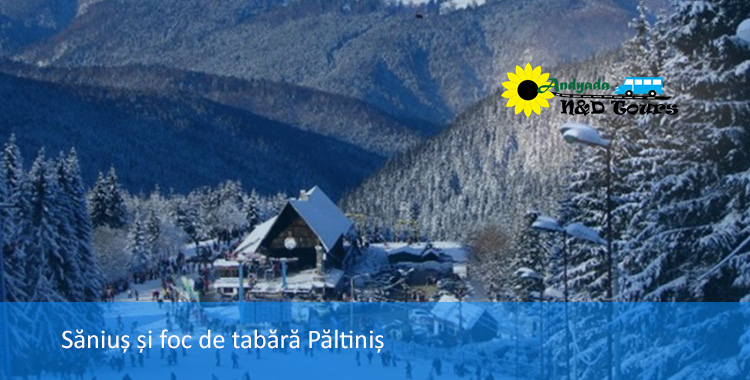 Sanius si foc de tabara la Paltinis