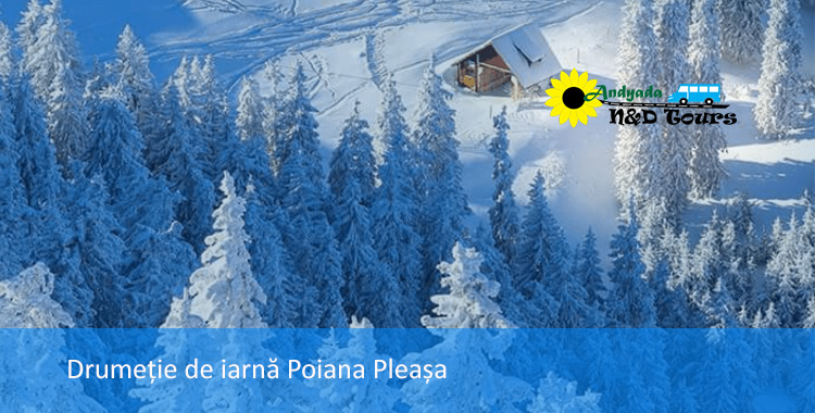 Drumetie de Iarna Poiana Pleasa