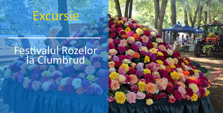 Festivalul Rozelor Ciumbrud, Alba